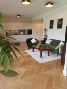 ein Wohnzimmer mit einem grünen Sofa und einem Tisch in der Unterkunft exklusives Studioapartment - in traumhafter Lage direkt am Halensee in Berlin