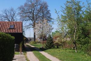 une maison avec un toit rouge et un chemin de terre dans l'établissement WW15 - Het Geitenhuisje, à Ruinerwold