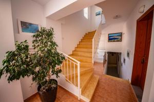 Fotografie z fotogalerie ubytování Apartments Cikuli v destinaci Sarandë