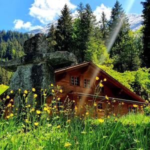 ein Haus auf einem Feld mit Blumen davor in der Unterkunft Alpenlodge in Willigen