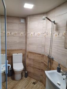 a bathroom with a toilet and a sink and a shower at Kashtata s Paraklisa in Borowo +57 photos