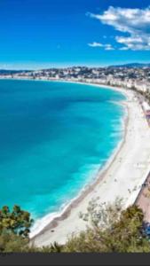ニースにあるBoutique apartment LA LAVANDE center Nice FREE parkingのビーチと海の景色を望めます。