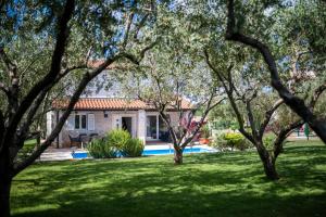 a house in a yard with trees in the foreground at Casa di Oliva in Brtonigla
