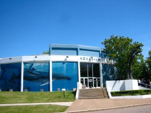 Gallery image of Falls Retreat - Walk to the Falls, the Casino and all Downtown Restaurants - Across from the Aquarium in Niagara Falls