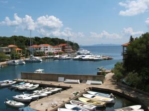a bunch of boats are docked in a harbor at Apartments Olga in Božava
