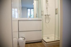 ein Badezimmer mit Dusche, Waschbecken und Toilette in der Unterkunft ALBIAPPART VIGAN centre ville in Albi