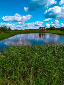 Příroda nedaleko prázdninového domu