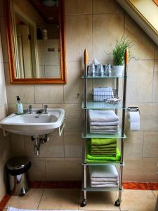 a bathroom with a sink and a shelf with towels at B&B Zandhuizen in Zandhuizen