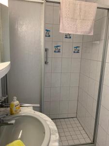 a bathroom with a shower and a sink and a tub at Ferienwohnung Bünger in Essel