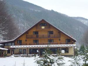 a large wooden building in the snow with a mountain at Cabana Perla in Cugir