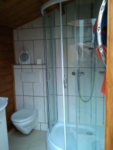 ein Bad mit einer Dusche und einem WC in der Unterkunft Schäferwagen auf dem Ferienhof Stark in Kelheimwinzer