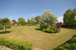 
a large green field with a tree in the middle of it at Jex Farmhouse B&B in Little Snoring
