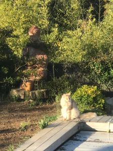 Gallery image of Villa l’Ensoleillée in Roquefort-les-Pins