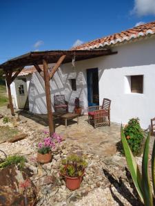 un patio de una casa blanca con sillas y flores en Montes de Baixo en Odeceixe