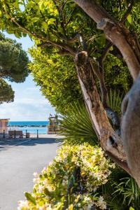a view of the beach from a tree at Marina in San Bartolomeo al Mare