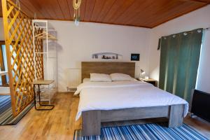 ein Schlafzimmer mit einem großen Bett und einem TV in der Unterkunft Charlietown in Satu Mare