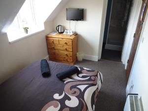 Uma TV ou centro de entretenimento em Travellers Rest Motel