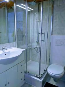 a bathroom with a shower and a toilet and a sink at 108 Studio Apartment Alexandria 30m2 in Klagenfurt