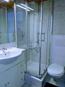 a bathroom with a shower and a toilet and a sink at 108 Studio Apartment Alexandria 30m2 in Klagenfurt +15 photos