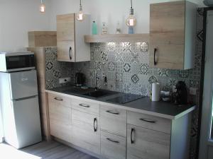 eine Küche mit Spüle und Kühlschrank in der Unterkunft le gite de léonard in Castelnau-dʼEstrétefonds