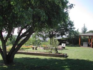 un parco con un albero, una panchina e un gazebo di le gite de léonard a Castelnau-dʼEstrétefonds
