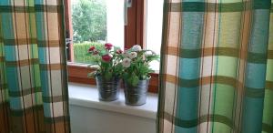 Ogród w obiekcie Family Apartment FUCHS Bad Kleinkirchheim