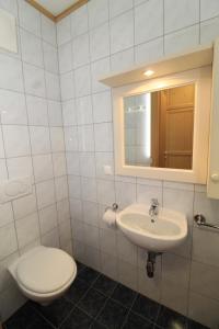 Łazienka w obiekcie Family Apartment FUCHS Bad Kleinkirchheim