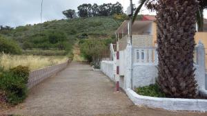 a road leading to a house with a palm tree at Estudio La Esperanza in La Esperanza