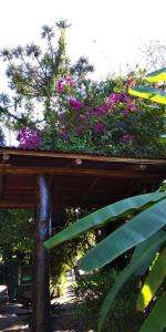 un planteur de fleurs violettes au-dessus d'un bâtiment dans l'établissement Jasy Hotel, à Puerto Iguazú