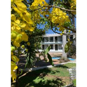 un árbol con flores amarillas delante de una casa en Hotel Posada Santa Fe, en Guadalajara