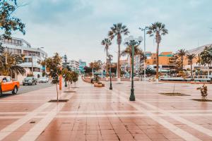 a city street with palm trees and cars on the road at Hotel Concorde in Arica