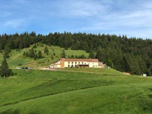 une maison au sommet d'une colline verdoyante dans l'établissement Chaume de Balveurche, à Xonrupt-Longemer