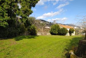 a green yard with a house and a hill in the background at Casa da Quinta in Covilhã