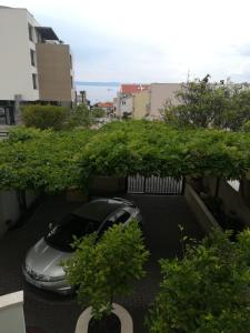 Zahrada ubytování Apartmani Vidoš