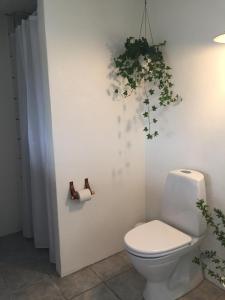a bathroom with a toilet and a plant on the wall at Aasesminde in Fåborg