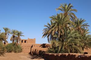 Fotografie z fotogalerie ubytování Bivouac Joudour Sahara v destinaci Mhamid