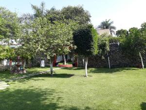 un patio con árboles y una pared de piedra en Hotel Quinta Paraiso, en Cocoyoc