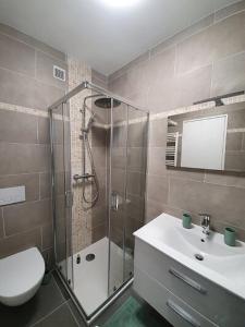 ein Bad mit einer Dusche, einem WC und einem Waschbecken in der Unterkunft APPARTEMENT TERRASSE VUE MER Sea view terrace apartment "Etoile de Mer" in Menton