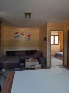 ein Wohnzimmer mit einem Sofa und einem Bett in der Unterkunft Casute la munte in Râșnov