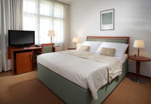 Sjónvarps- og/eða afþreyingartæki á Clarion Hotel Prague Old Town