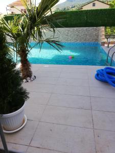 a swimming pool with a palm tree next to a house at Lile Pestani Accommodation in Peštani