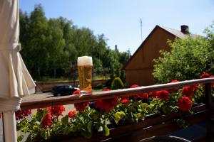 Ogród w obiekcie Zajazd u Hermanów