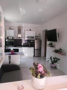 Kuchyň nebo kuchyňský kout v ubytování Roberto Apartment