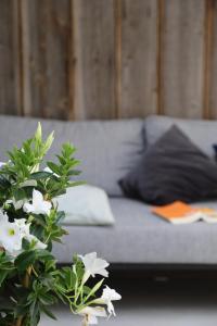 a couch with pillows and a plant with white flowers at Maison Albert in Nieuwpoort