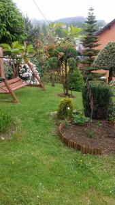 a garden with a tree in the grass at Noclegi U Andrzeja in Duszniki Zdrój