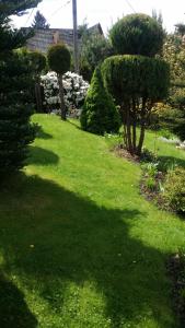 a green lawn with trees and bushes in a yard at Noclegi U Andrzeja in Duszniki Zdrój