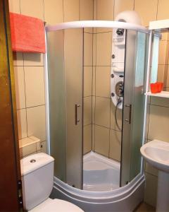 um chuveiro na casa de banho com um WC e um lavatório em Apartmani Tamara em Vrnjačka Banja