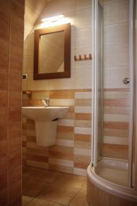een badkamer met een wastafel en een douche bij Swistowka in Zakopane