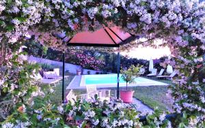 Zahrada ubytování Domus Langhe B&B