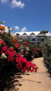 Un jardín con flores rojas frente a un edificio. en Bonheur à la résidence Savane, en Le Gosier